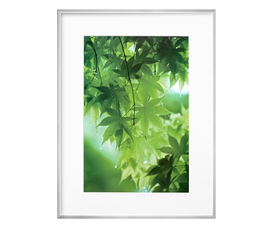 ハクバ写真産業 ZEROフレーム G-01 A3ノビ シルバー FZG01-A3NSV 1個(ご注文単位1個)【直送品】