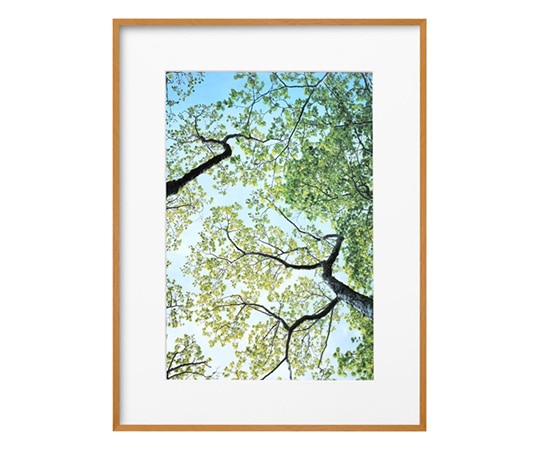 ハクバ写真産業 ZEROフレーム G-01 A3ノビ ナチュラル FZG01-A3NNT 1個(ご注文単位1個)【直送品】