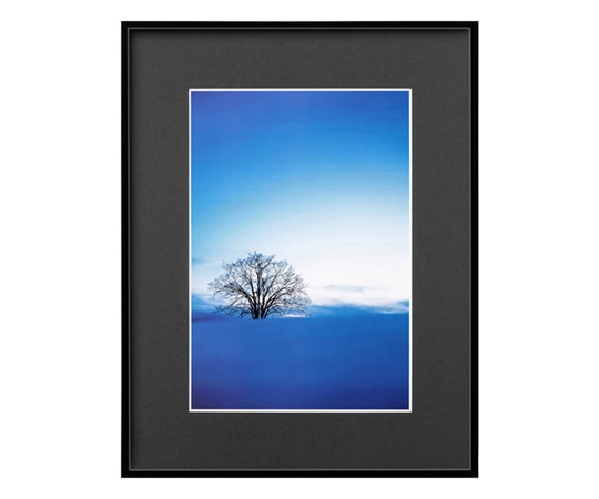 ハクバ写真産業 ZEROフレーム G-01 A4 ブラック FZG01-A4BK 1個(ご注文単位1個)【直送品】