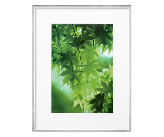 ハクバ写真産業 ZEROフレーム G-01 A4 シルバー FZG01-A4SV 1個(ご注文単位1個)【直送品】