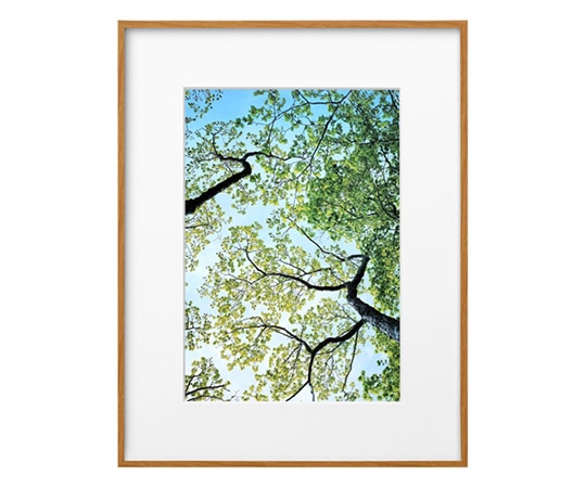 ハクバ写真産業 ZEROフレーム G-01 A4 ナチュラル FZG01-A4NT 1個(ご注文単位1個)【直送品】