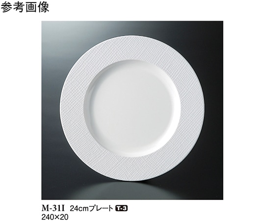 スリーライン 24cm プレート トカーニ 10個入 M-31I 1袋（ご注文単位1袋）【直送品】