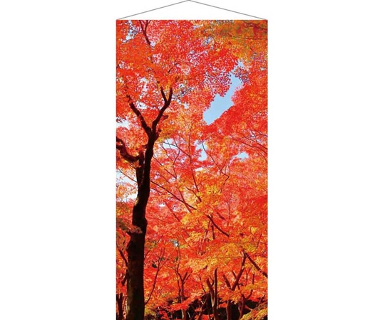 アズワン 秋タペストリー もみじ並木 90×180cm(防炎加工) 37-35-5-1 1個（ご注文単位1個）【直送品】