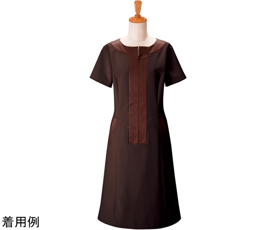 ボストン商会 ワンピース チャ 07 00109-79 1枚（ご注文単位1枚）【直送品】