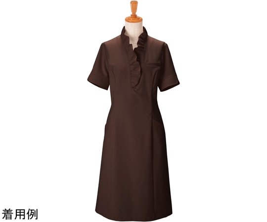 ボストン商会 ワンピース チャ 09 00110-79 1枚（ご注文単位1枚）【直送品】