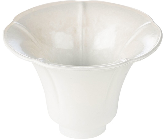 福井クラフト 朝顔珍味 アクアホワイト 55204975 1個（ご注文単位1個）【直送品】