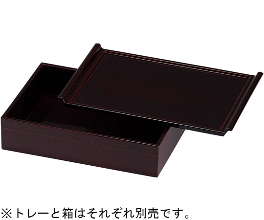 福井クラフト 22cm フライトカスタートレ溜SH塗 21011460 1個（ご注文単位1個）【直送品】