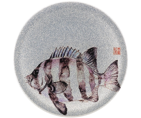 福井クラフト A150寿司皿 シルバーパール 石鯛 13000015 1個（ご注文単位1個）【直送品】