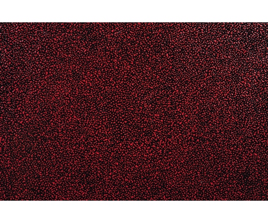 福井クラフト 2尺4寸 利家膳用天板 朱姫子 12020310 1個（ご注文単位1個）【直送品】