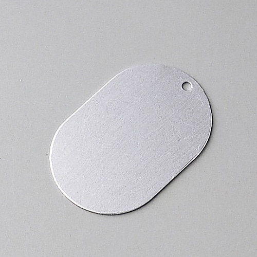 日本緑十字社 ステンレス製小判札(無地札) ステンレス札-A 10枚組 306011 1組(ご注文単位1組)【直送品】