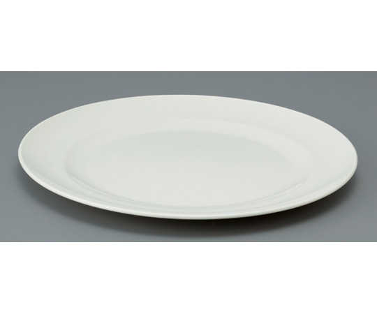 イノマタ化学 フォリオ プレート22 ホワイト #1016 1個(ご注文単位1個)【直送品】