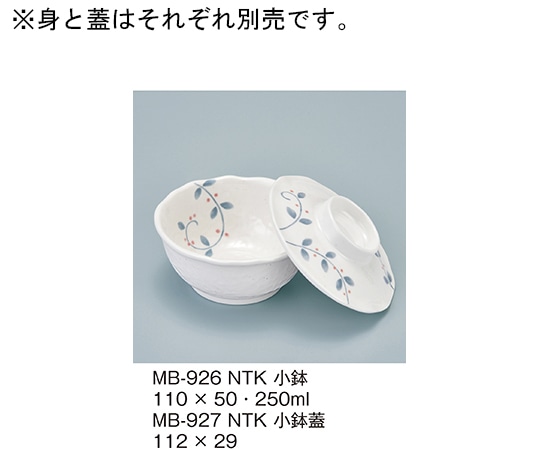 三信化工 小鉢 南天唐草 MB-926_NTK 1個（ご注文単位1個）【直送品】