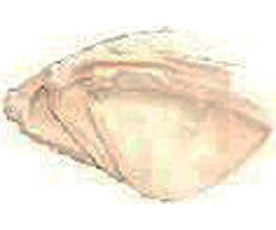 アズワン 部品 ろか布(3枚入り) FD-3 1個（ご注文単位1個）【直送品】