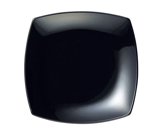 Daiwa 菜津味 菜皿 黒 SS-21-BK 319333 1個（ご注文単位1個）【直送品】