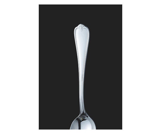 トーダイ 18-8クイーンエリザベス シュガーレードル 273201 1本（ご注文単位1本）【直送品】