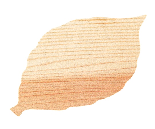 ヤマコー Naturalist ウッドペーパー5枚セット このは 79397 1セット(ご注文単位1セット)【直送品】