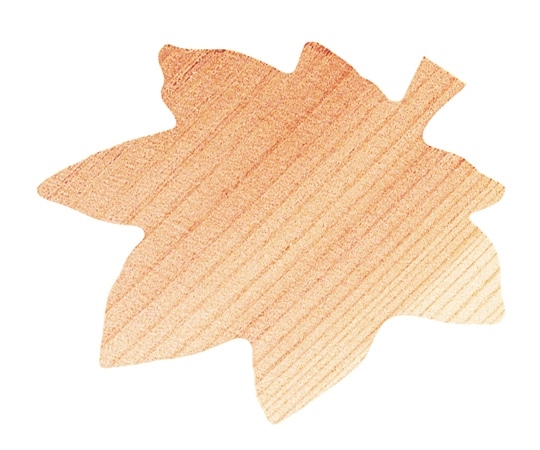 ヤマコー Naturalist ウッドペーパー5枚セット もみじ 79399 1セット(ご注文単位1セット)【直送品】