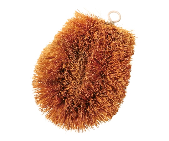 ヤマコー パーム たわし 78516 1個（ご注文単位1個）【直送品】