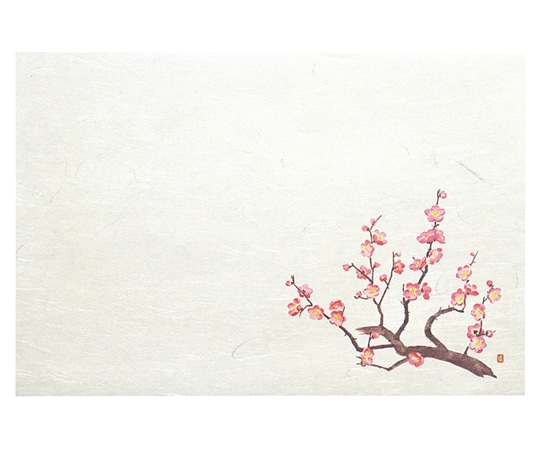 ヤマコー 四季 おもてなしセット 梅 88756 1セット（ご注文単位1セット）【直送品】