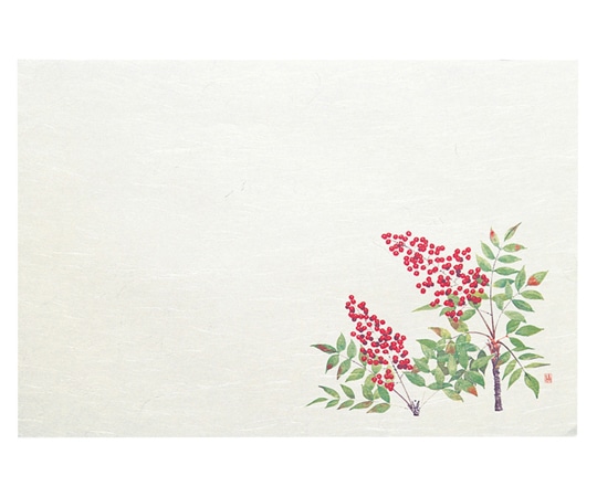 ヤマコー 四季 おもてなしセット 南天 88755 1セット（ご注文単位1セット）【直送品】