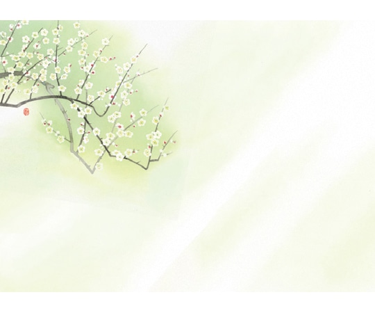 ヤマコー 花雅 おもてなしセット 梅 88752 1セット（ご注文単位1セット）【直送品】