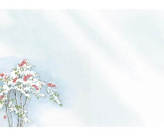 ヤマコー 花雅 おもてなしセット 南天 88751 1セット（ご注文単位1セット）【直送品】