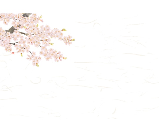 ヤマコー 花ごよみ おふたりさまセット 桜づくし 89838 1セット（ご注文単位1セット）【直送品】