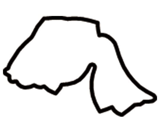 アズワン 生抜 極小 金魚  1個（ご注文単位1個）【直送品】