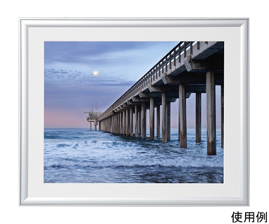 ケンコー・トキナー アルミ額縁 ルックマイルド 半切 シルバー ALM-H-SV 1箱(ご注文単位1箱)【直送品】