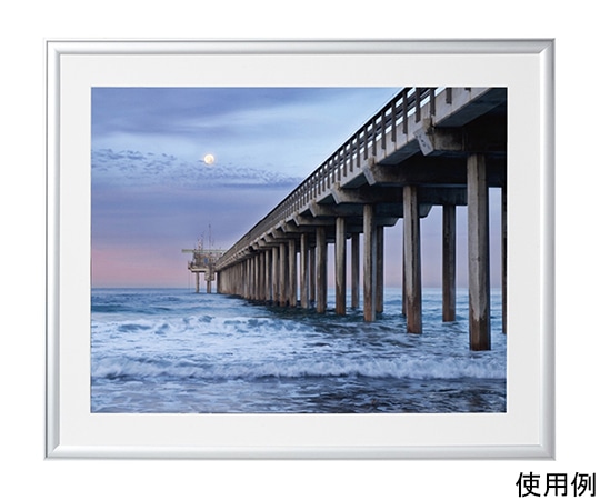 ケンコー・トキナー アルミ額縁 ルックマイルド 全紙 シルバー ALM-Z-SV 1箱(ご注文単位1箱)【直送品】