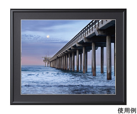 ケンコー・トキナー アルミ額縁 ルックマイルド 全紙 ブラック ALM-Z-BK 1箱(ご注文単位1箱)【直送品】