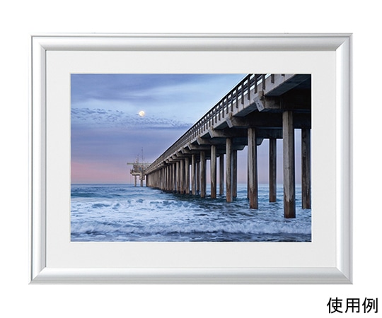 ケンコー・トキナー アルミ額縁 ルックマイルド A4 シルバー ALM-A4-SV 1箱(ご注文単位1箱)【直送品】