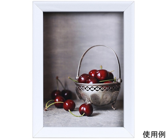 ケンコー・トキナー 木製フレーム ベルジェ 2L ホワイト PS-BE-2L-WH 1箱(ご注文単位1箱)【直送品】