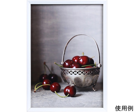 ケンコー・トキナー 木製フレーム ベルジェ A3 ホワイト EBE-A3-WH 1箱(ご注文単位1箱)【直送品】