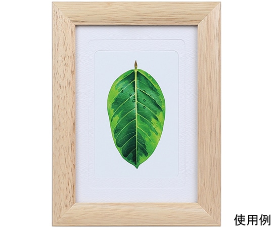 ケンコー・トキナー 写真立て ゴムの木 L・ハガキ・2L兼用 ナチュラル PS-GM-NA 1箱(ご注文単位1箱)【直送品】