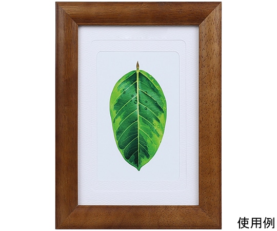 ケンコー・トキナー 写真立て ゴムの木 L・ハガキ・2L兼用 ブラウン PS-GM-BR 1箱(ご注文単位1箱)【直送品】