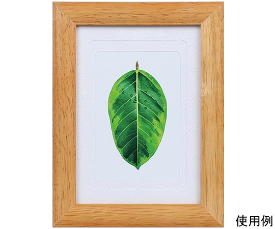 ケンコー・トキナー 写真立て ゴムの木 L・ハガキ・2L兼用 チーク PS-GM-TI 1箱(ご注文単位1箱)【直送品】