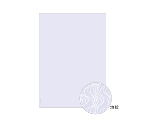 ヒサゴ コピー偽造予防用紙 1パック(110枚入) BP2060 1パック(ご注文単位1パック)【直送品】