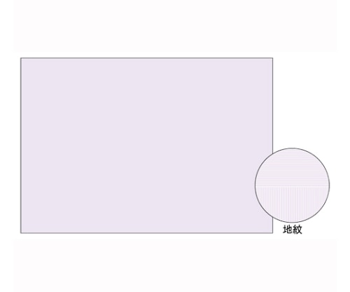 ヒサゴ コピー偽造予防用紙 1パック(100枚入) BP2111 1パック(ご注文単位1パック)【直送品】