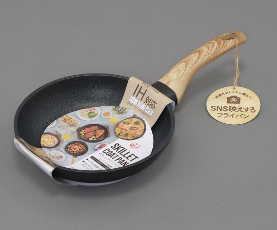 アイリスオーヤマ スキレットコートパン IH 20cm SKL-20IH 1個（ご注文単位1個）【直送品】