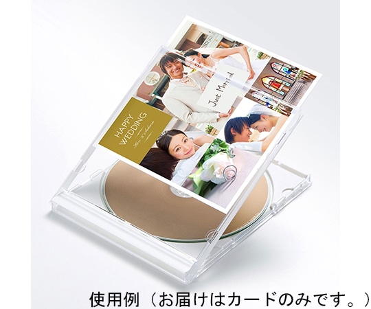 サンワサプライ プラケース用インデックスカード フォト光沢 JP-IND14GKN 1セット(ご注文単位1セット)【直送品】