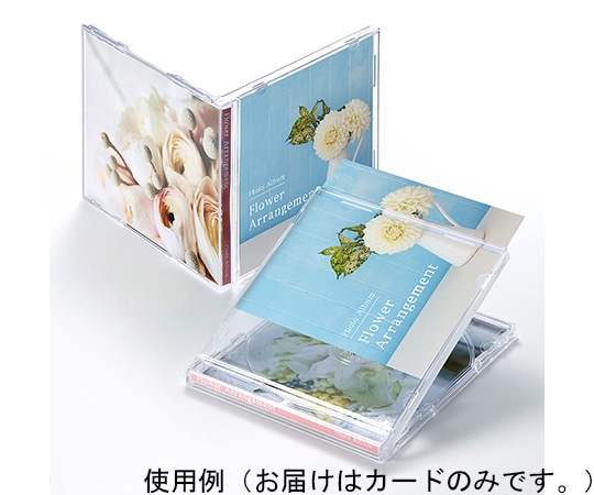 サンワサプライ インクジェット用インデックスカード JP-INDN 1セット(ご注文単位1セット)【直送品】