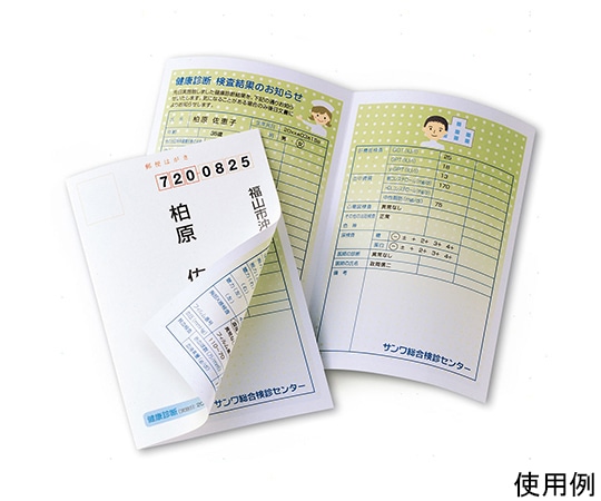 サンワサプライ インクジェット用シークレットはがき JP-HKSEC13N 1セット(ご注文単位1セット)【直送品】