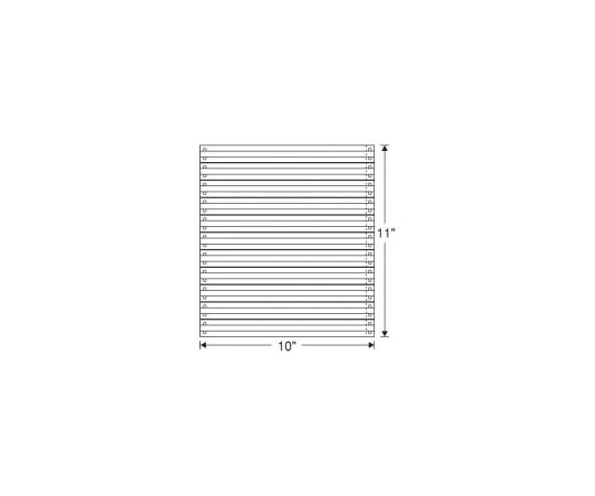 日本通信紙 ストックフォーム 10×11インチ 2000枚 罫入 SF-10131P 1箱(ご注文単位1箱)【直送品】