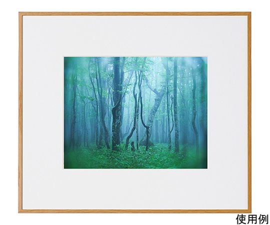 ケンコー・トキナー アルミ額縁 ギャラリー 六切 ナチュラル(木目調) ACY-6-NA 1箱(ご注文単位1箱)【直送品】