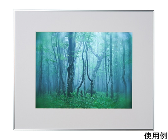 ケンコー・トキナー アルミ額縁 ギャラリー 半切 シルバー ACY-H-SV 1箱(ご注文単位1箱)【直送品】