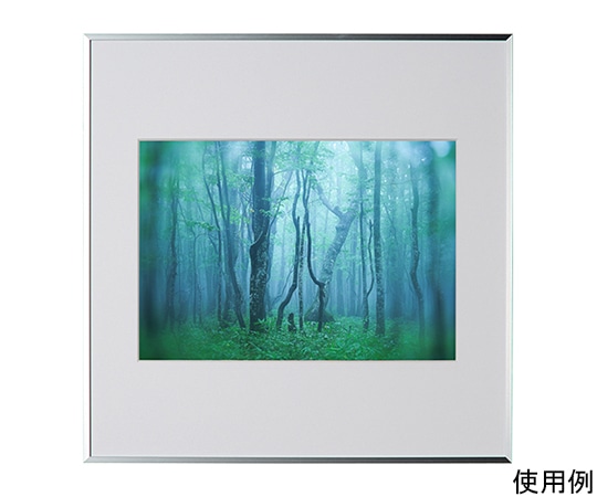 ケンコー・トキナー アルミ額縁 ギャラリー A4 スクエア シルバー ACY-A4SQ-SV 1箱(ご注文単位1箱)【直送品】