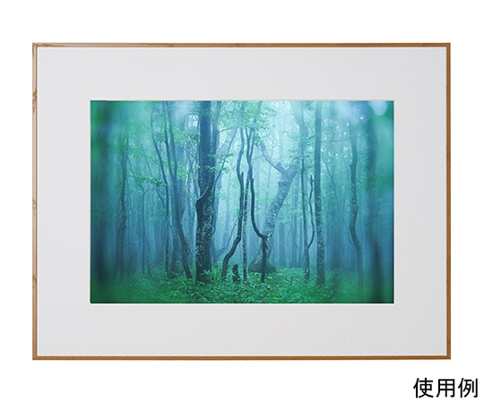 ケンコー・トキナー アルミ額縁 ギャラリー A3ノビ ナチュラル(木目調) ACY-A3N-NA 1箱(ご注文単位1箱)【直送品】