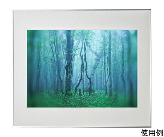 ケンコー・トキナー アルミ額縁 ギャラリー A2 シルバー ACY-A2-SV 1箱(ご注文単位1箱)【直送品】