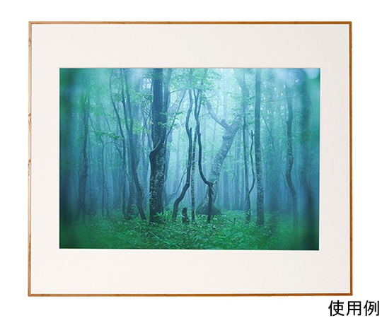 ケンコー・トキナー アルミ額縁 ギャラリー A2 ナチュラル(木目調) ACY-A2-NA 1箱(ご注文単位1箱)【直送品】